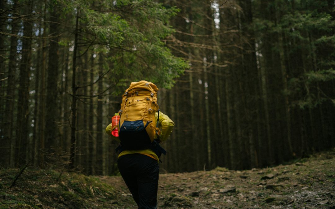 Activité randonnée au camping du lac à Guerlédan